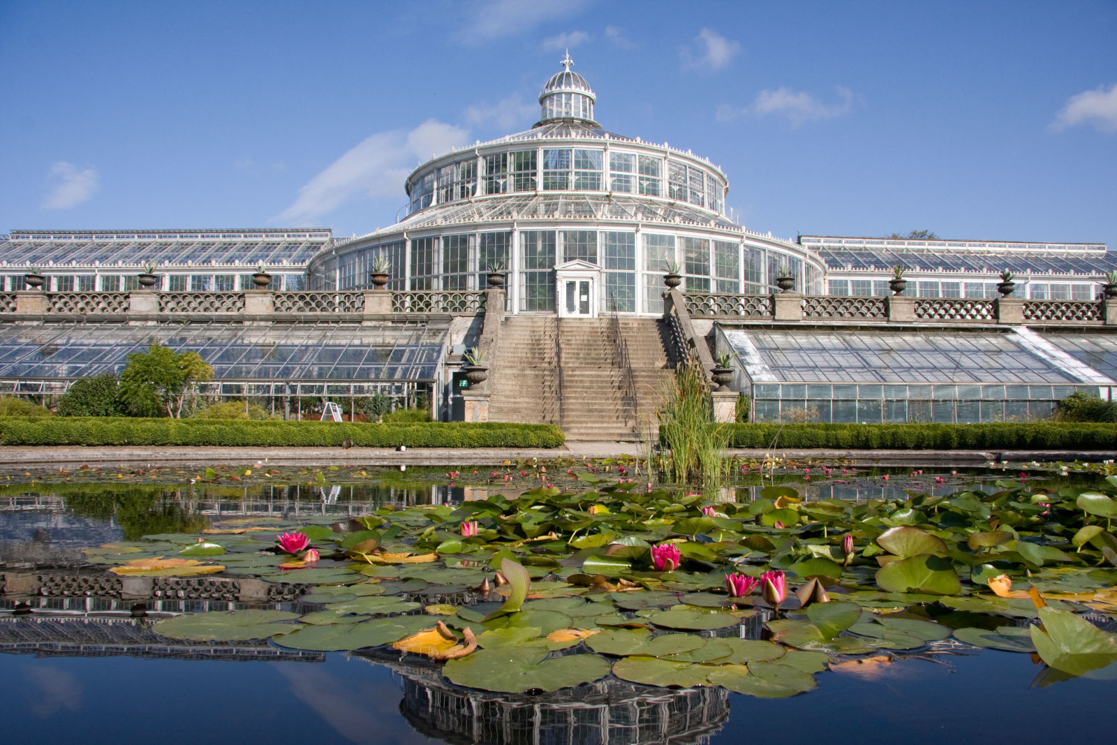 A photo of a very large green house, called the Palm House, situated in the Botanical Garden. A pond with water lillies is in front of the stairs leading up to the Palm House.